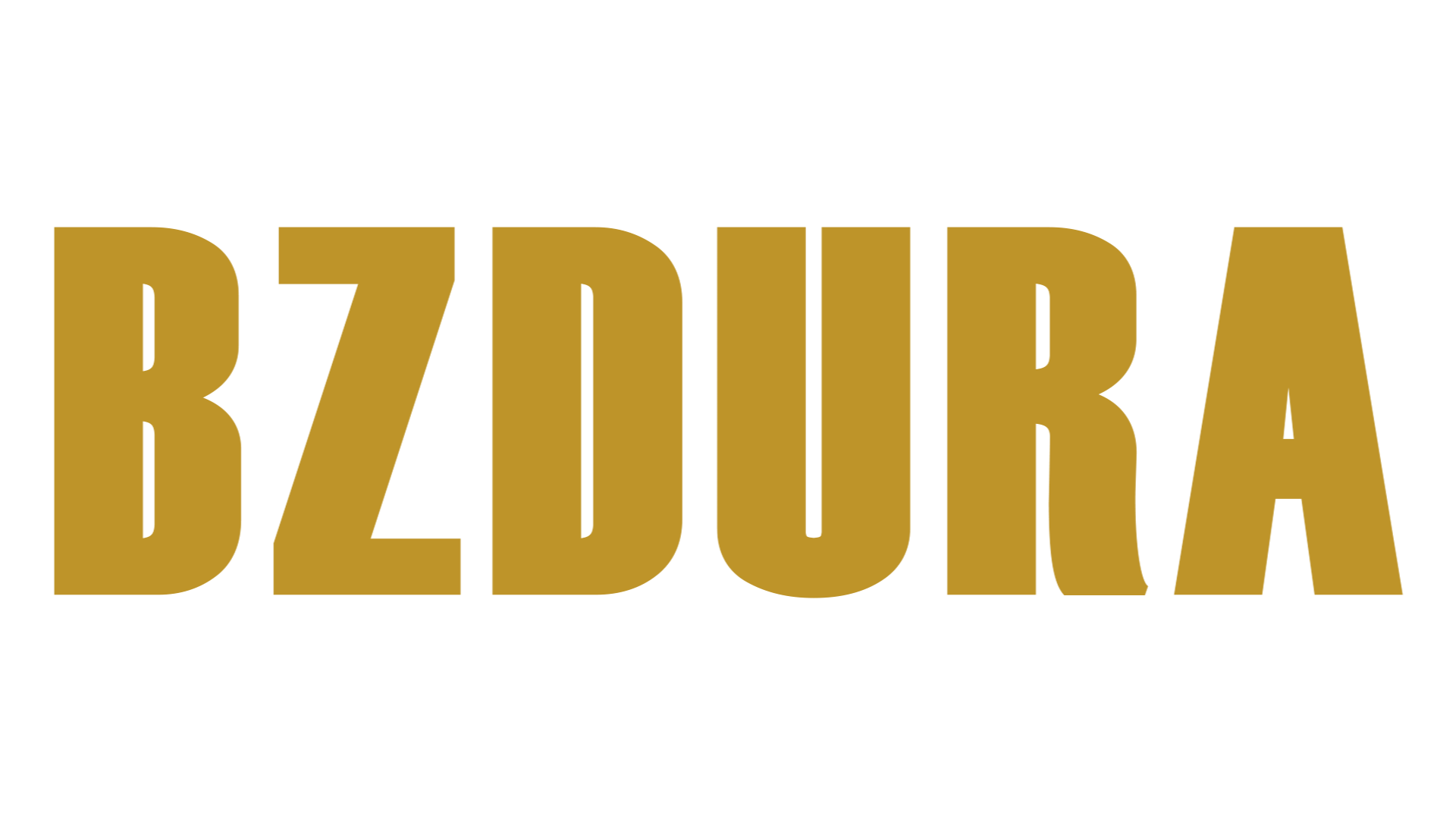 Bzdura